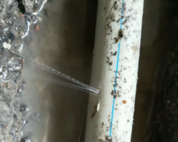 皇姑卫生间测漏水多少钱