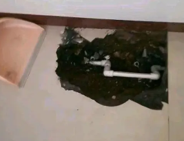 皇姑卫生间测漏水多少钱